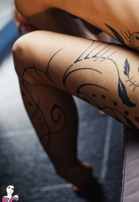 xxx onlyfans hd nackte bilder