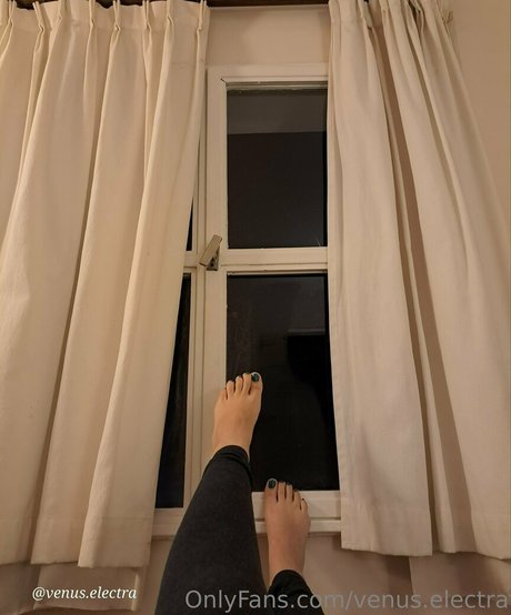 venus electra hd top bilder