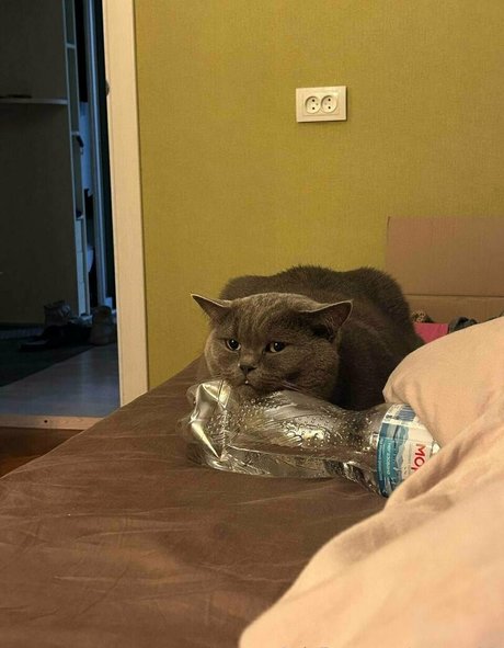 schwarze amerikanische onlyfans erwachsene akt galerien