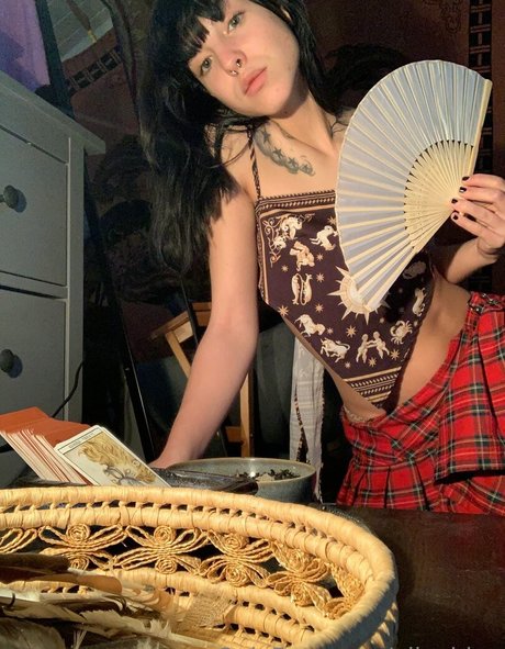 schwarze shemale-onlyfans schöne erotische galerie