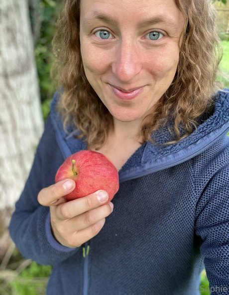 i sophie freie schöne galerien