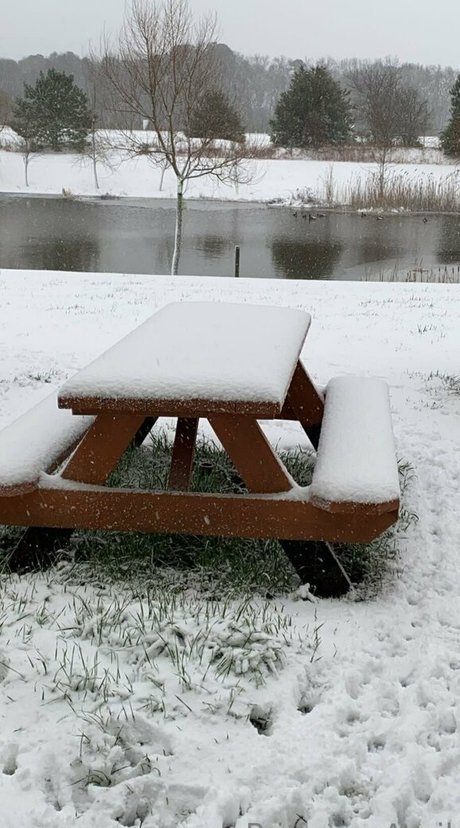 oma fickt onlyfans perfekte foto