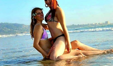 temperedteria exklusive kostenlose galerien