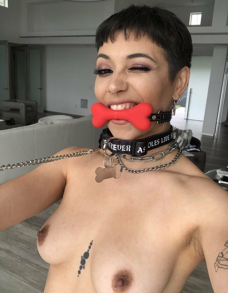 brooklyngrayxxx beste nackten archiv