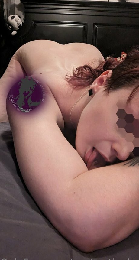 keine ppv-onlyfans erwachsene top bild