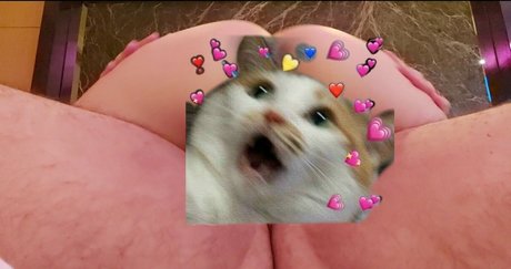 zzwei7 sexy schöne fotos