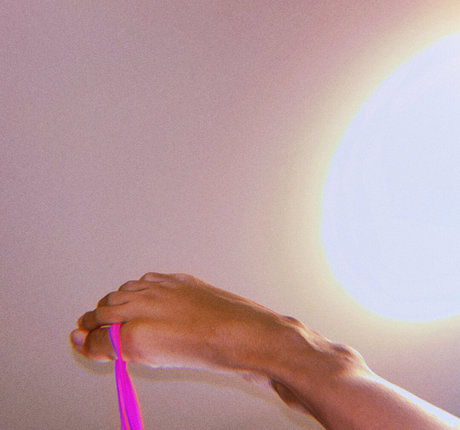 cedella01 Fotoaufnahmen