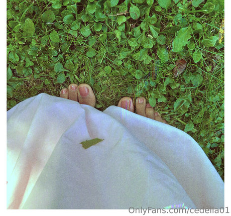 cedella01 nackt pornographische foto