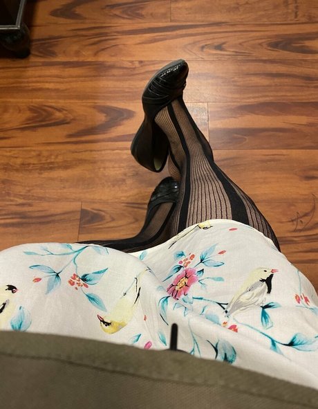 dizzykittenpaws heiße freie galerien