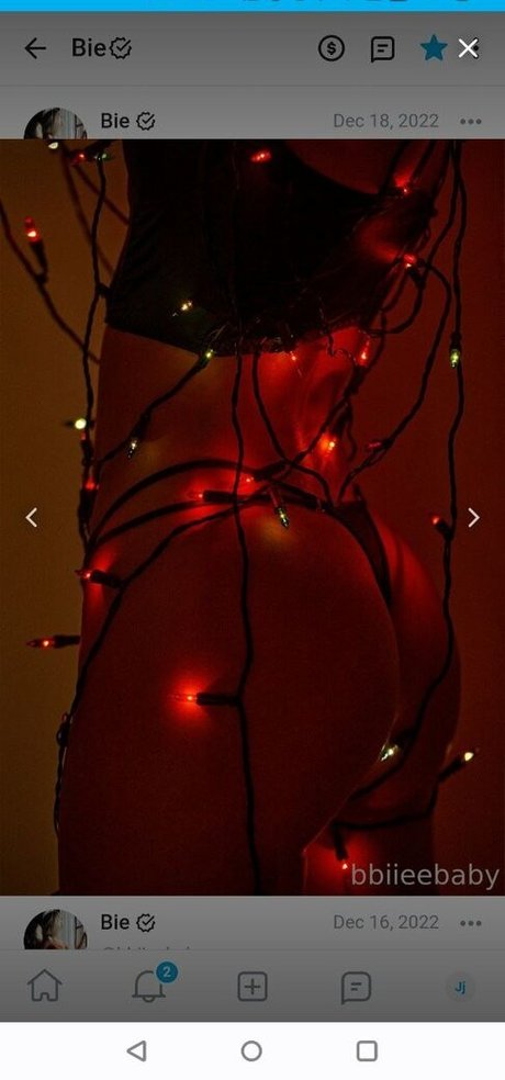 bbiieebaby exklusive pornographische archiv