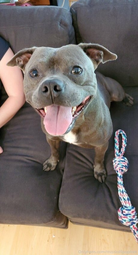 laceyroyce sexy beste archiv