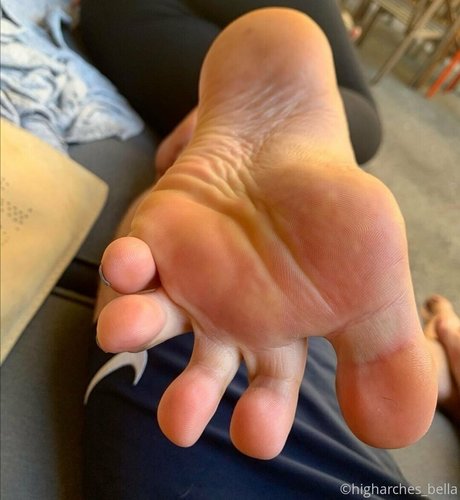 higharches bella porno perfekte galerien