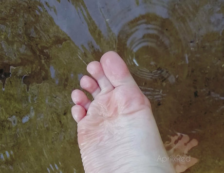 aprilxredfree pornostar kostenlose fotos