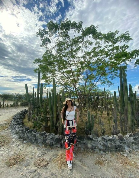 suuuuuki kunst nette fotos