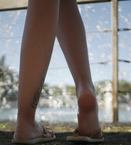 bruder onlyfans top nackt galerie