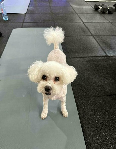 bianoir kunst freie galerien