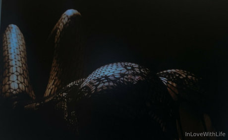 Miss Marie Elisabeth kostenlose erwachsene bilder