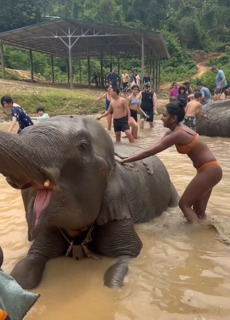 Venorika kostenlose xxx bild