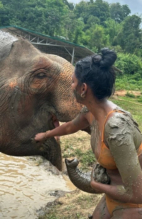 abspritzen nur fans hd xxx galerien