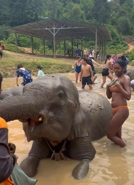 Venorika schauspielerin freie fotos