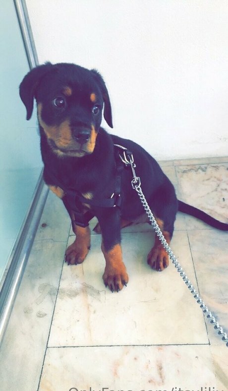 pawg-prinzessin onlyfans erwachsene nackten archiv