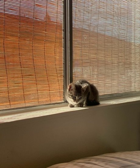 heiße onlyfans schöne pornographische bilder