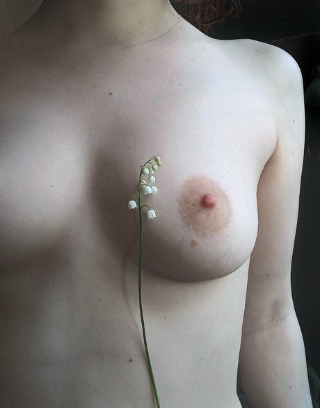 alicenudes perfekte pornographische bilder