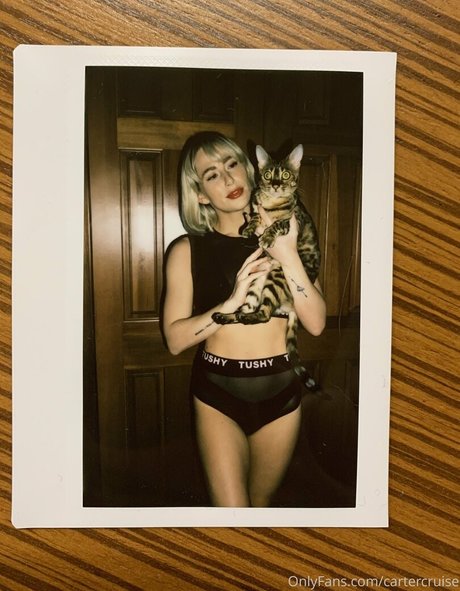 cartercruise erwachsene bild