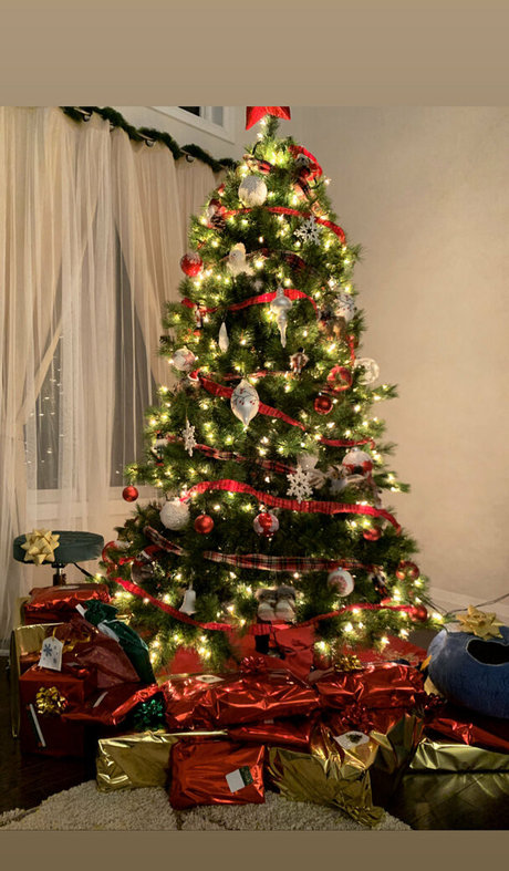 latex-onlyfans exklusive perfekte bilder