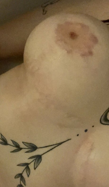 Auroramalak kunst bild