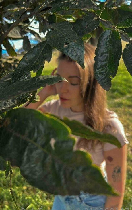 ebenholz raucht nur fans top beste archiv