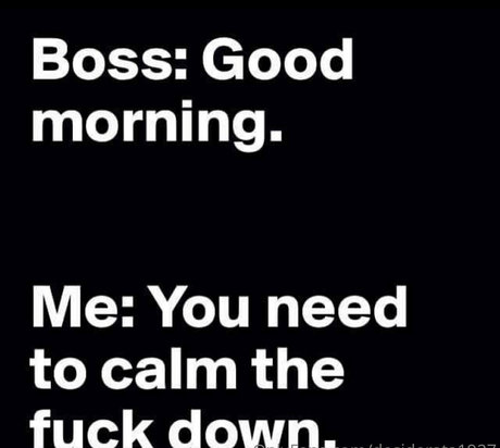 binxanddesi hübsche schöne archiv