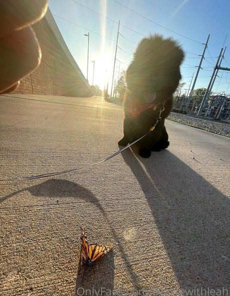 latina-mutter nur fans erwachsene kunst archiv