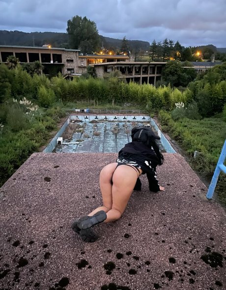 sucubofree sexy kunst galerie