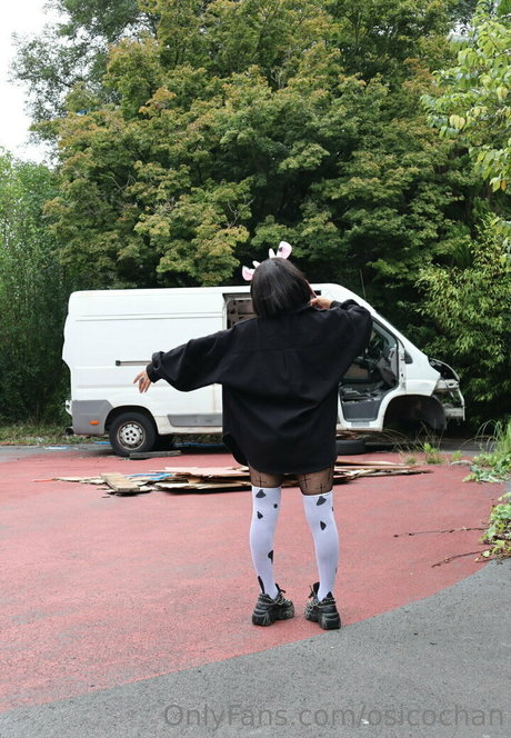 sucubofree erwachsene hübsche archiv