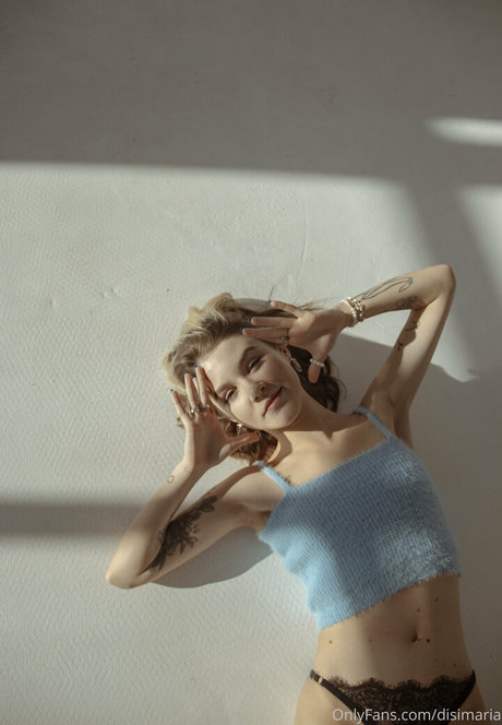 disimaria perfekte freie galerien