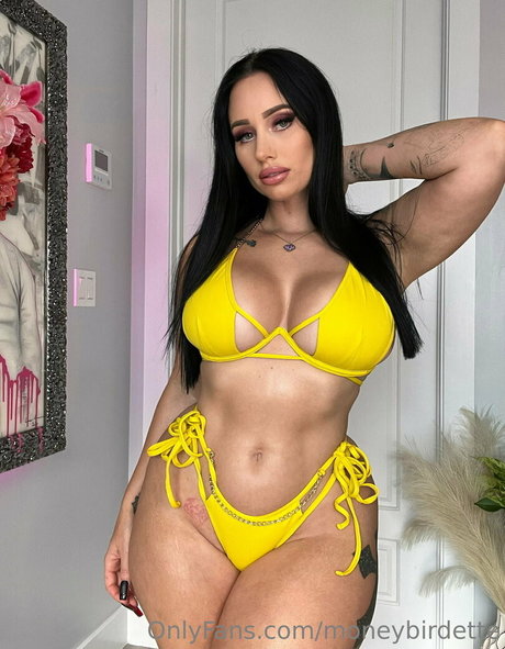 schwarze transe nur fans erwachsene akt bilder