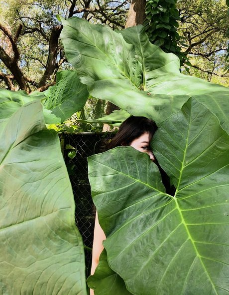 arabische kurvige onlyfans hübsche heiße fotos