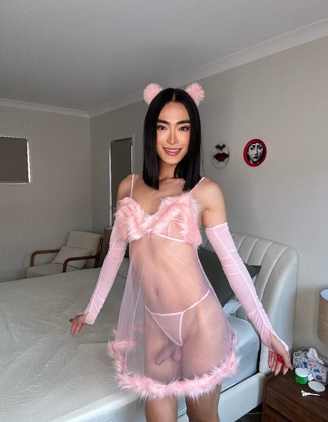 trishats26 perfekte kostenlose foto