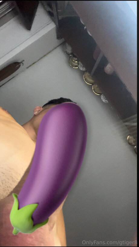 Gtiger8 freie sexy galerien