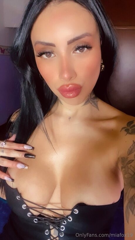 Miafoxvipp beste kunst bilder