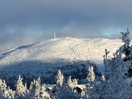 Farmer John beste erotische archiv