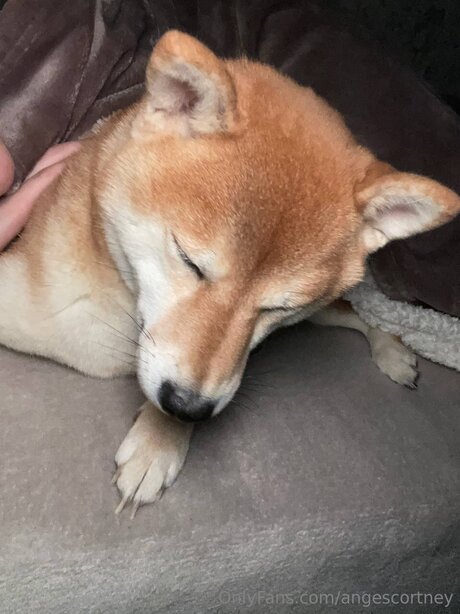 Angescortney nacktheit erotische archiv