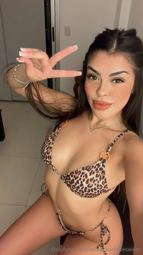 Verenacute freie galerien