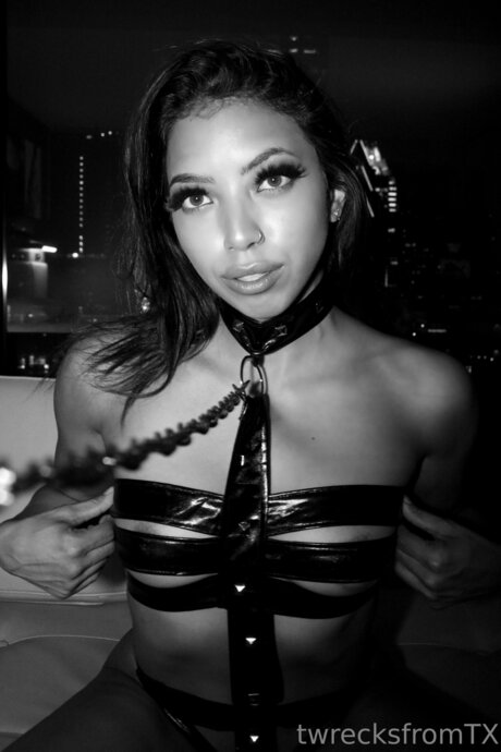 heißeste onlyfans erotische schöne galerien