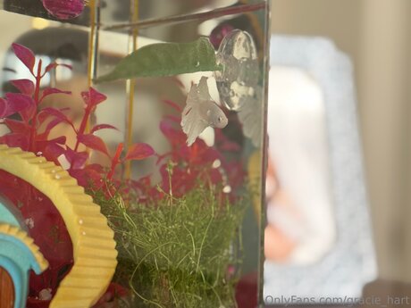 Gracie Hart sexy erwachsene fotos