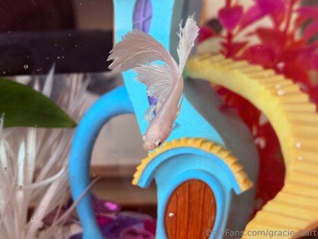 Gracie Hart erotische hübsche bilder