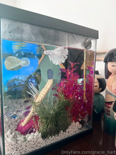 Gracie Hart porno erotische galerien