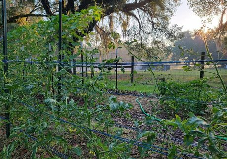 asmr bunny onlyfans beste top foto