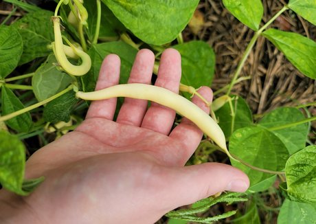 ballerina onlyfans kunst xxx bild